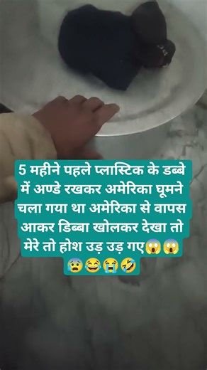 5 महीने पहले प्लास्टिक के डब्बे में अण्डे रखकर अमेरिका घूमने चला गया था अमेरिका से वापस आकर डिब्बा