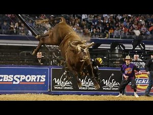 Every Ride from Bushwacker's Legendary Streak and J.B. Mauney's Ride That Ended It