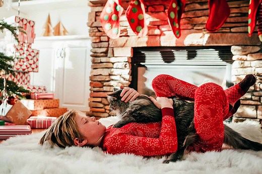 115 Christmas Cat Names for Your Festive Feline