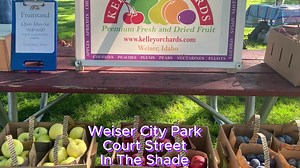 Weiser Farmers Market. Thursdays, 5:00 – 7:00 pm, Through September. In The Shade Of Weiser City Park On Court Street. | Living In The News .Com