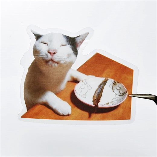 Clear PET Cat Stickers for Journaling, Waterproof Kitten Decals (scrapbooking) - Etsy