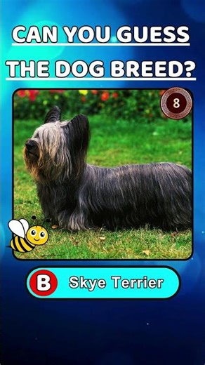 Guess The Dog Breed!! 🐕 | Short 004 | Can You Name The Dog Breed? 🐶 | Dog Lover 🐾🗺 | Dog Quiz 🌍