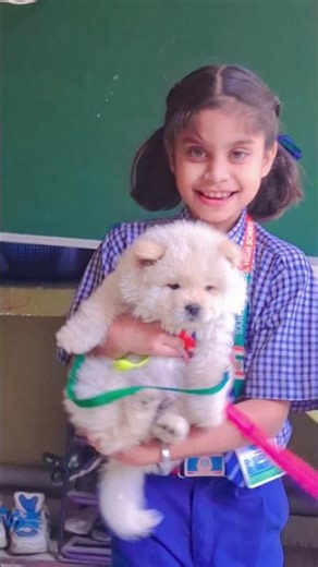 Chow chow dance #cutedog #puppy #love