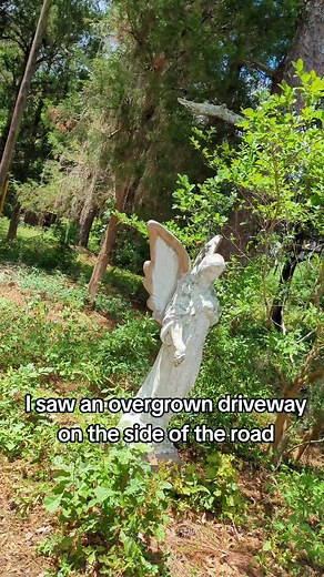 Exploring Abandoned Houses: The Strangest Discoveries Revealed!