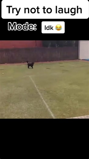 Accidentally Epic Flip Meme Compilation