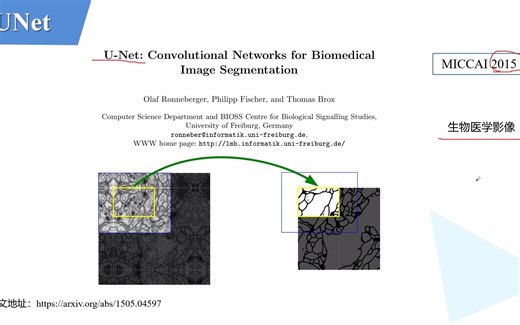 U-Net网络结构讲解(语义分割)