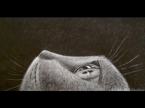 Cómo dibujar pelo animal: Ojo de gato en perspectiva - Arte Divierte