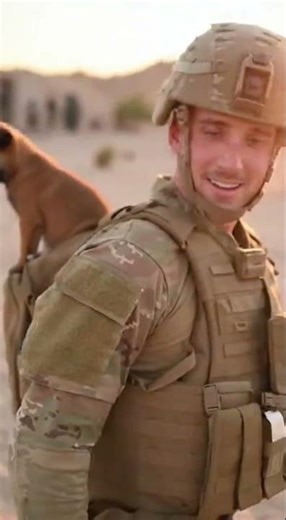 #puppy Brave Royal Malinois Puppy escape from the backpack