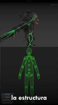 Unity Humanoid System: comparando avatares con diferentes rigs y proporciones