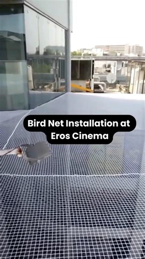 Bird Net Installation | Industrial Bird Net| Pigeon Control Service #avglobalservices #antibirdnet