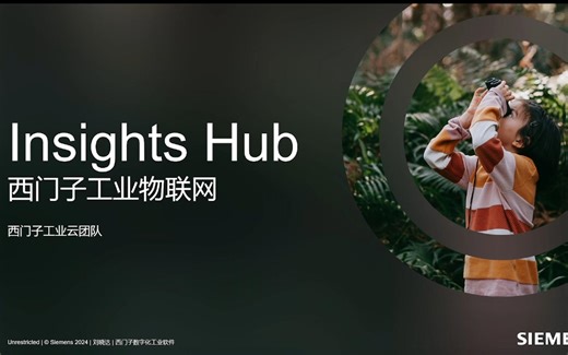 Insights Hub 应用开发 1 JAVA SDK 与 API