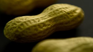 Asthma drug Xolair can now be used to treat severe food allergies, FDA says