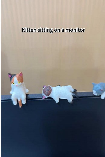Cute Cats on the Monitor: Adorable Moments You’ll Love
