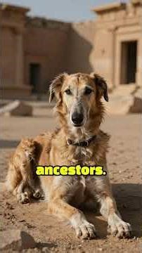 The Desert Gazelle: Meeting the 4,000-Year-Old "Ghost Dog"