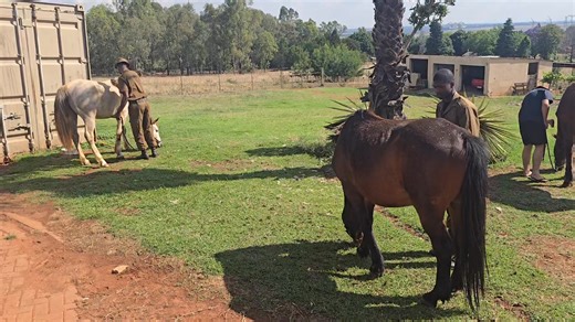 13K views · 185 reactions | BASTION SPECIALIST TRAINING: BASIC...