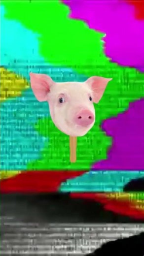Tom Yum Lechon Podcast Explore Real Stories4