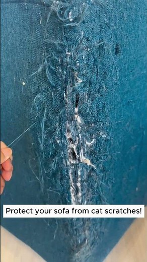 The easiest way to stop your cat from scratching 😻