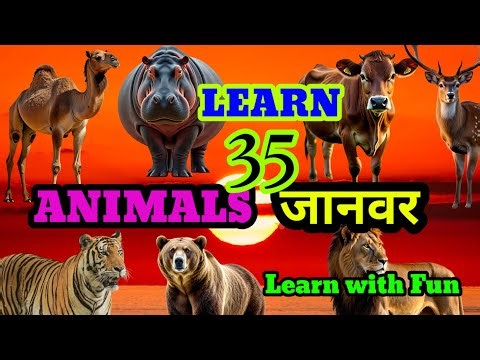 Learn 35 Animals | जानवरों के नाम सीखो मज़ेदार अंदाज़ में | Animals Name in hindi and english |