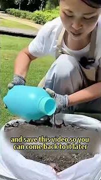 Stop Throwing Money Away! 🛑 The Secret to Making Rich Soil for FREE