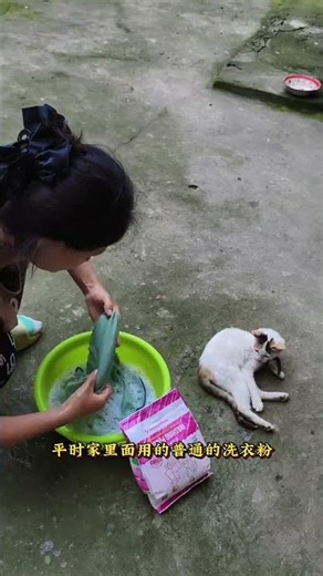 Effortless Laundry Powder: Your Lazy Solution