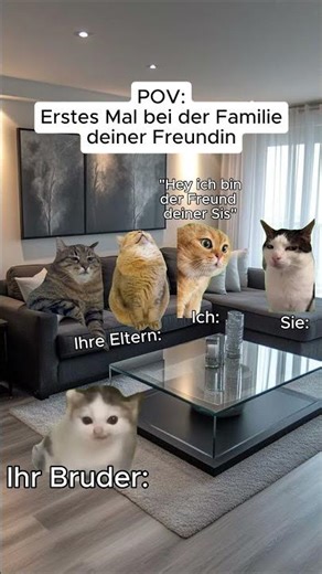 Wer kennts?😂😂 #cats #lustig #funny #backgroundvideo #cat #chill #katze #memes #comedy #chat