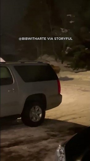 Wild moose charges man who ignored locals' warnings