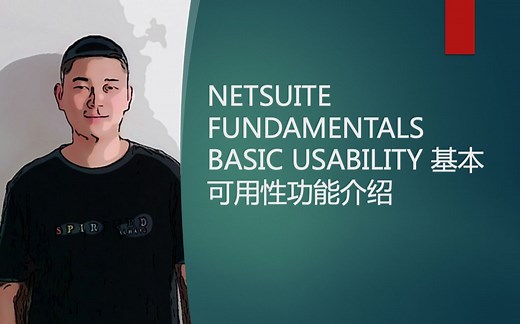 NETSUITE FUNDAMENTALS BASIC USABILITY 基本可用性功能介绍