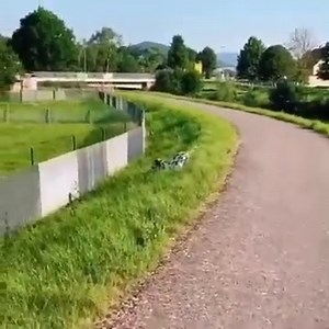 1.6K views · 97 reactions |  | Justice For Cecil The Lion | Facebook