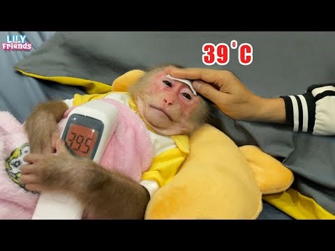 What should I do to help Lily? She is sick