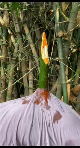 John Lbj on Reels | Facebook