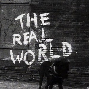 Ever wondered what it is like to be a part of the Real World? Before the March 4th reunion on Paramount , here is your chance to experience it with our opening credits generator: https://startgettingreal.com! | Real World