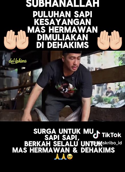 Teman teman sapi janoko menyusul dikurbankan 🥹🥹 #dehakims #irfanhakim #sapiqurban #sapicondroireng detik detik janoko di kurban #sapiklentangklentung #iduladha #sapiqurban #sapi #setiafarm hewan qurban dehakims #viral #sapiqurban2025 #sapiviral #sapiqurbanirfanhakimdipotong #hewanqurban #qurban #qurban2025 #mashermawansetiafarm #hewanqurban2025 #masiyun #masiyunsobatngaret janoko pas kecil kepala sapi janoko janoko pas di kurbankan janoko pas di kurbankan sapi , 5 sapi raffi ahmad borong 2025 