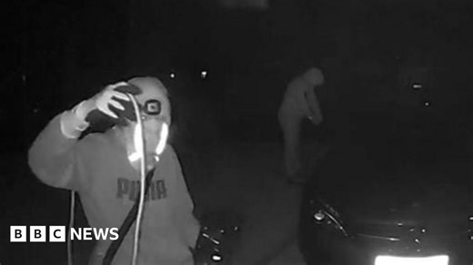 Victims left 'devastated' by £2m car-theft gang