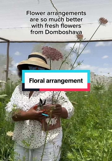 Creative Floating Flower Arrangement Ideas for Beginners