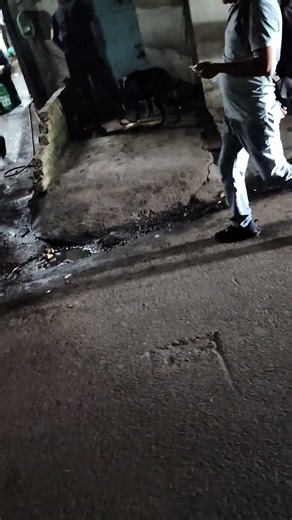 yah kutta nahin bahan ka \%und hai #comedy #lokeshthakur