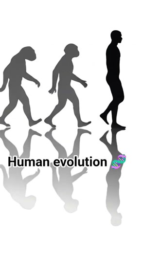 Evolution 🧬 of Human ✨ #biology #cbse12thbiology #neetcoachings #neet #neetaspirents #class #board