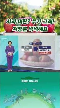 사과 대란?! 누가 그래요? 사과 공급 안정적🍎 정부, 가격 불안 우려 일축‼️