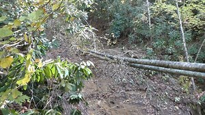 1.6K views · 28 reactions | The Truth About Cancer on Reels | Facebook