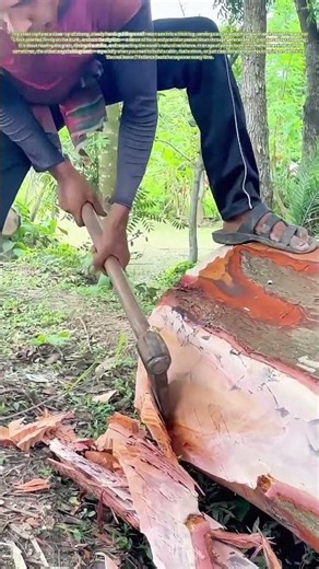 Splitting with Purpose: Why This Old-School Axe Technique Still Wins in the Woods