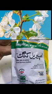 Imperial king Npk 5 15 45 for flowers and fruits | For all crops and plants | ICS Kissan Ghar | just visit our website for latest price details and for orders www.kissanghar.pk free delivery | #kissanghar #kisanghar #npk #npk51545 #plants #crops #flowers #fruits #ics #imperialking | Kissan Ghar