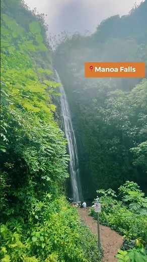 3 Must-See Waterfalls in Oahu for an Unforgettable Adventure