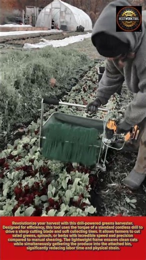 Best Greens Harvester with cordless drill power for fast salad cutting#worktool#tool