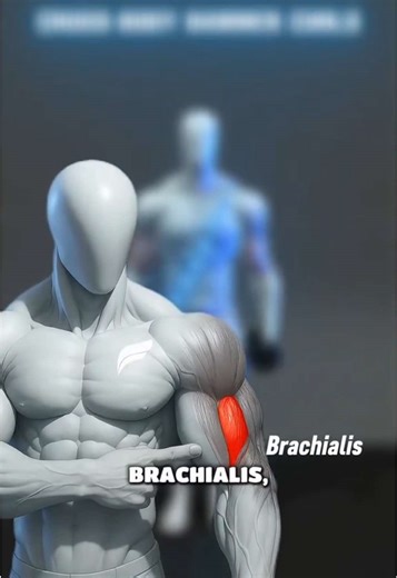 Cómo conseguir bíceps grandes desde el lado