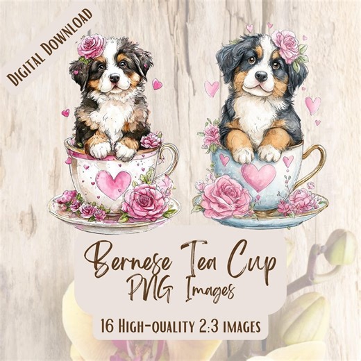 Bernese Mountain Dog in Teacup PNG Bundle, 16 Watercolor Puppy Heart & Flower Illustrations, Cute Dog Love Clipart - Etsy UK