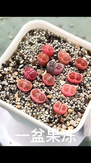 佛历2569年2月20日