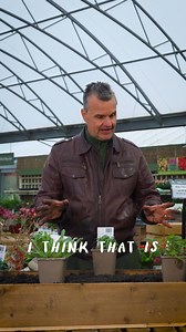 Today is your final chance to order a Valentine’s Day Border or opt for a Garden on a Roll Gift Card if you’re unsure which border to choose. A meaningful gift that grows and brings joy season after season #GardenOnARoll #ValentinesDay #GardenGift #LastChance | Garden on a Roll