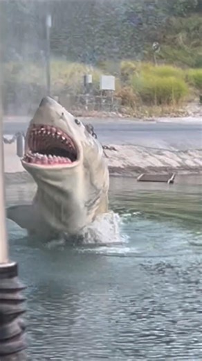 Best! Jaws! Universal Studios Hollywood! #shortsfeed #universalparks #hollywood