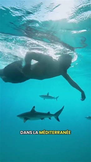 Surviving the 2026 Apocalypse - The Ultimate Guide