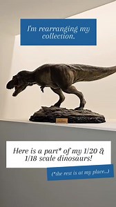 My collection is divided between two places: my office and at home. The biggest part is at home. Until now my models were sorted by sculptor or brand. But people always were asking me the size of this dino compared to this othe one and so on. So, I decided to rearrange everything by scale. I mainly collect 1/20 and 1/15 even if I also have a lot of 1/18, 1/10, 1/6 and some lifesize. Here is the 1/20 and 1/18 that are displayed at my office. One 1/15 dinosaur was left by mistake. Can you find it?