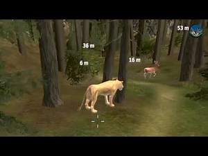 Wild Animal Hunting Gameplay | Deer & Tiger Hunting Game